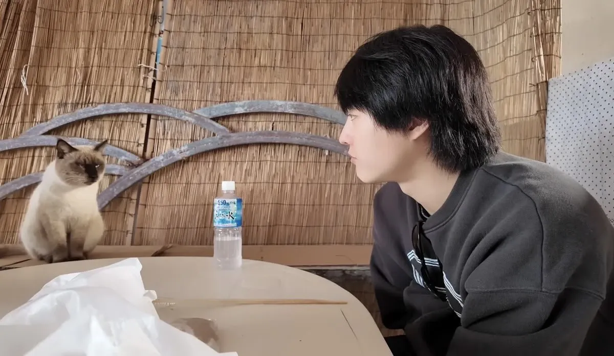 Recent activity shot of WOODZ