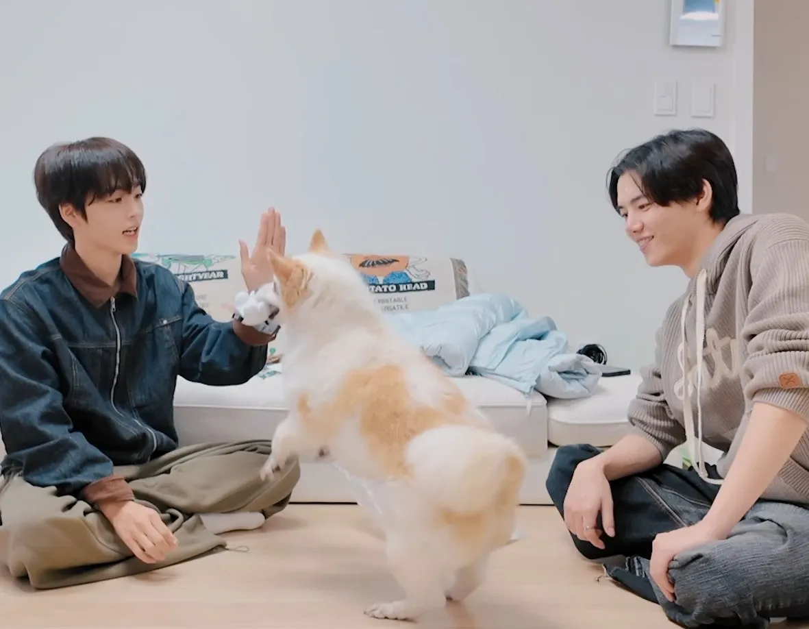 A moment captured by Hyeongjun (CRAVITY)'s fan