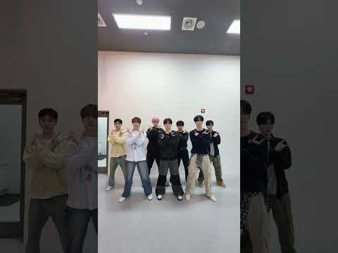 Behind-the-scenes cut of n.SSign