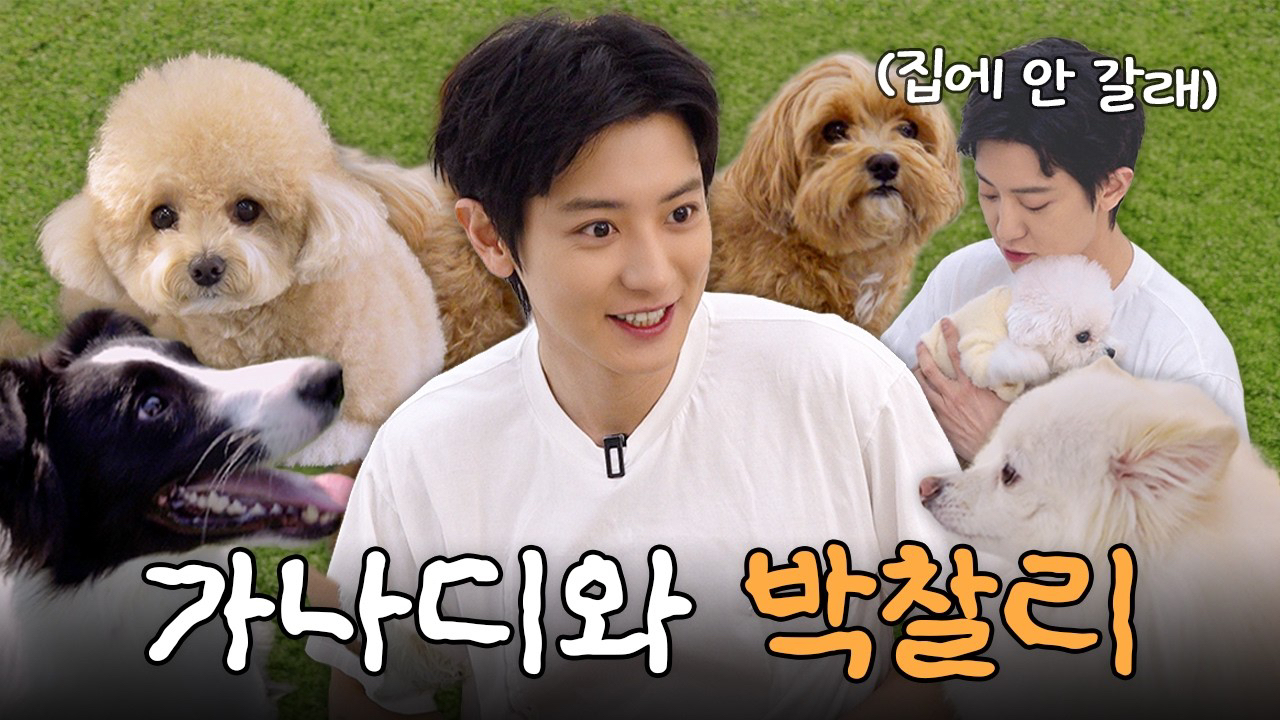 Potret di balik layar Chanyeol (EXO)