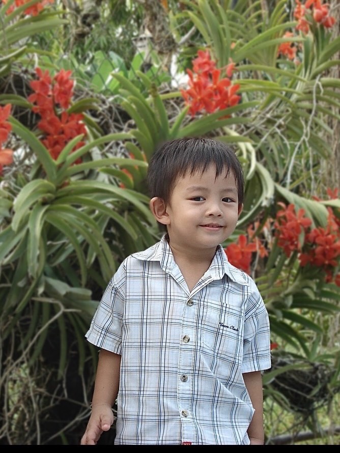 Recent activity shot of Heart (BUS)