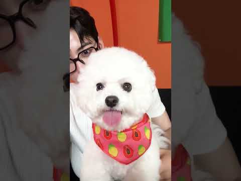 Behind-the-scenes cut of Eunwoo (ASTRO)