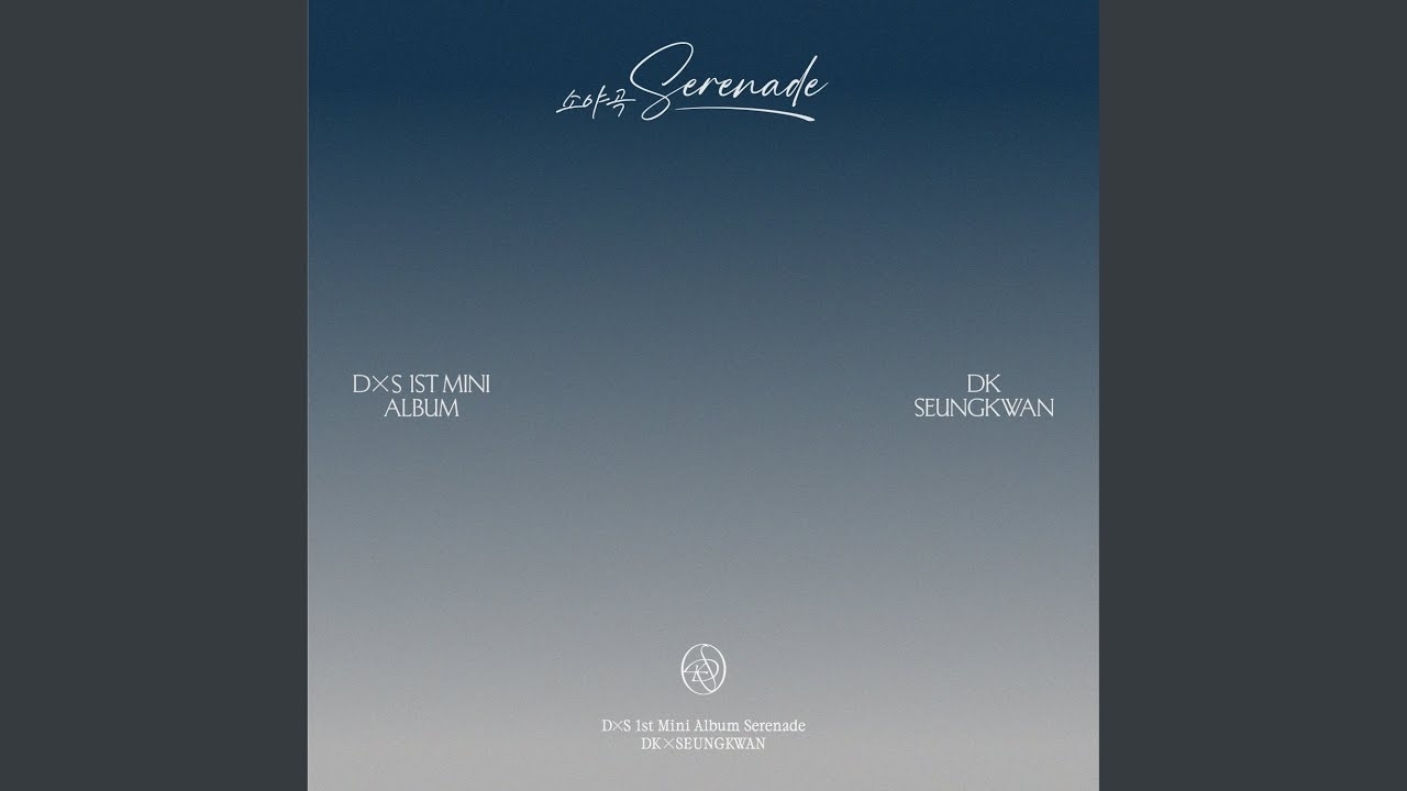 세븐틴 팬이 찍은 순간