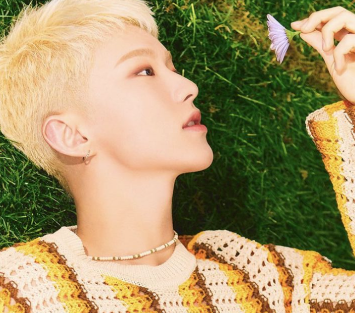 A moment captured by Hoshi (SEVENTEEN)'s fan