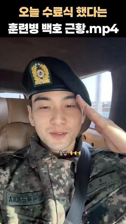 白虎粉絲最喜愛的經典桌布