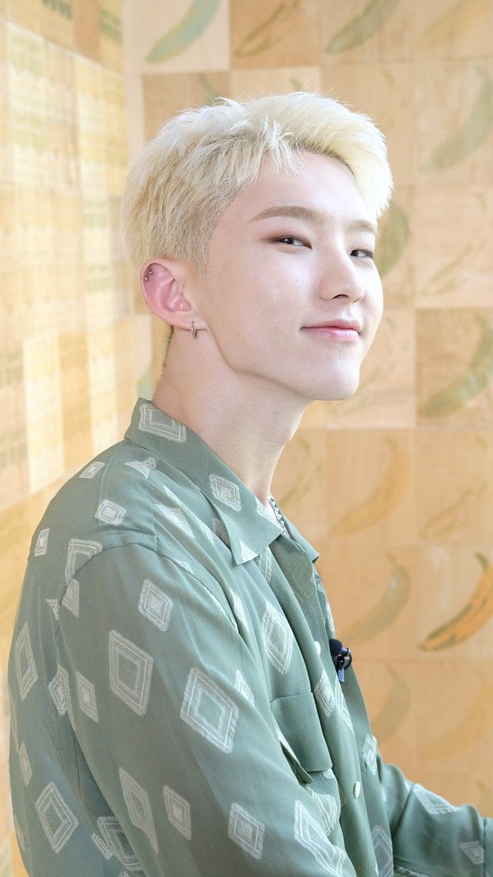 Fandom-recommended wallpaper image of Hoshi (SEVENTEEN)