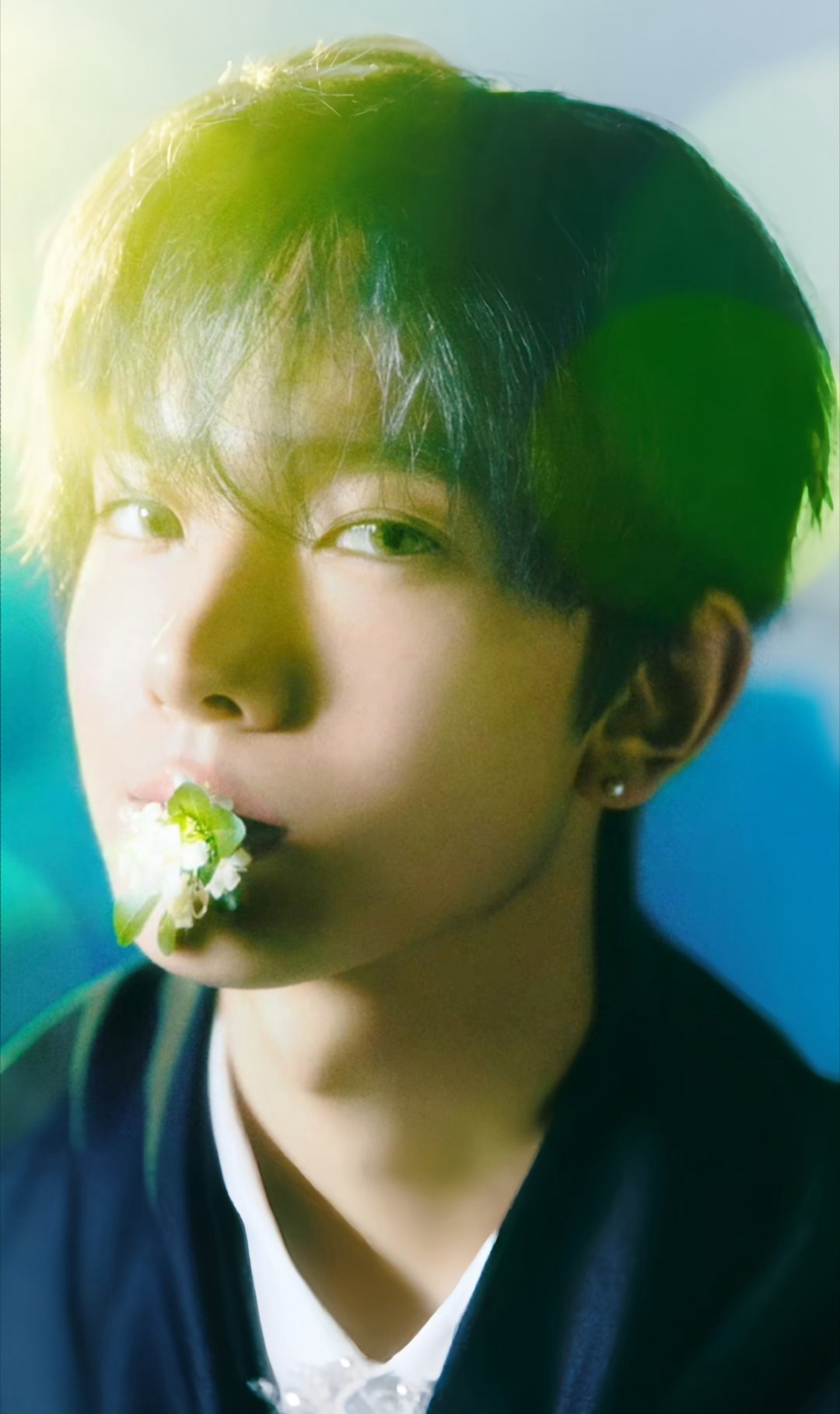 羲承的最新照片