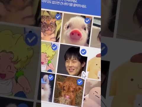 Foto terbaru MONSTA X