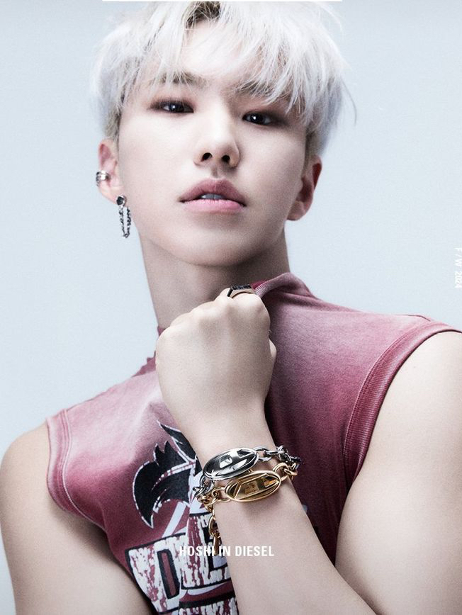 Hoshi (SEVENTEEN)粉丝拍下的瞬间