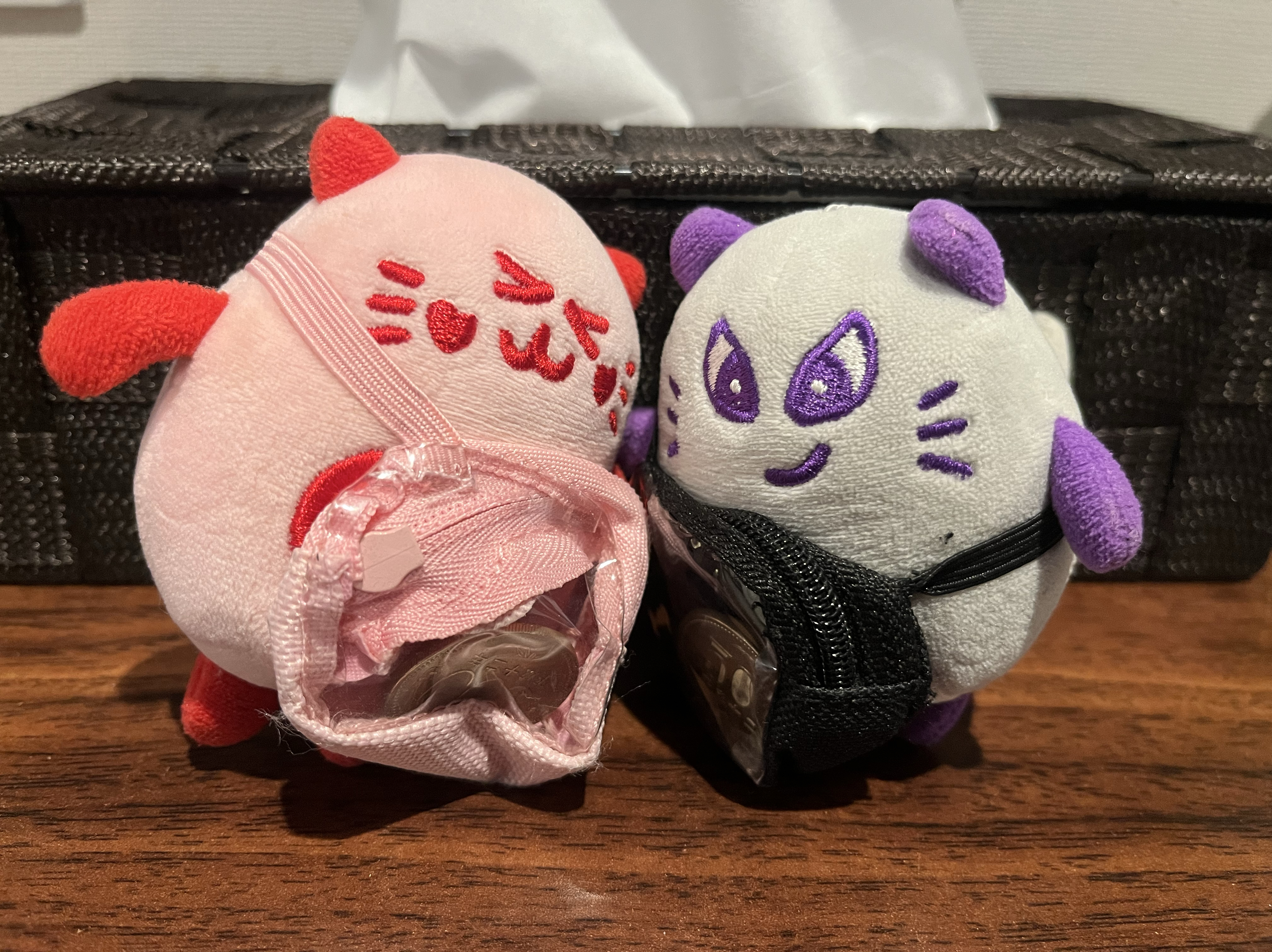 Latest photo of Rocky