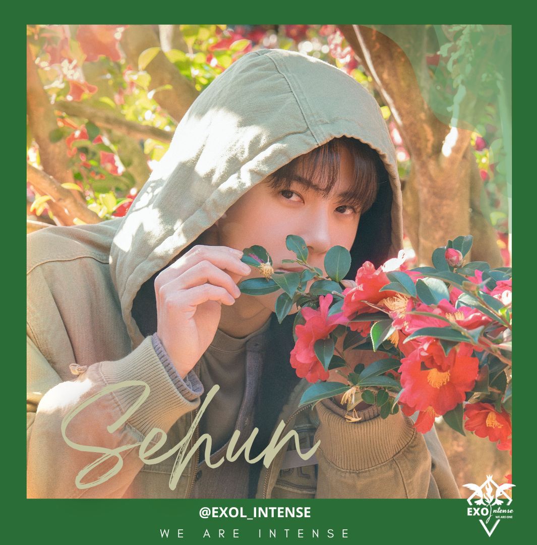 A moment captured by EXO's fan