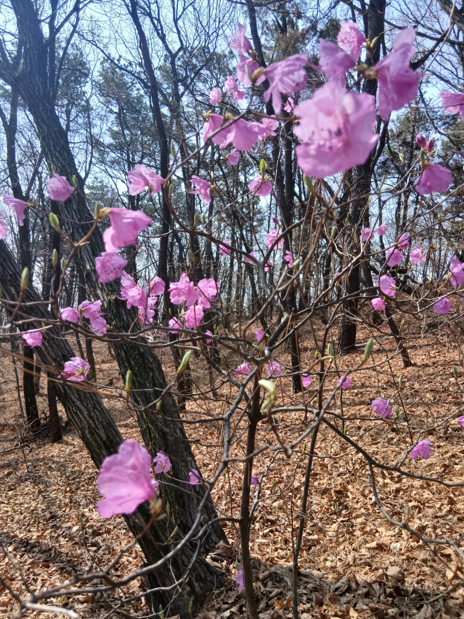 Behind-the-scenes cut of BTS