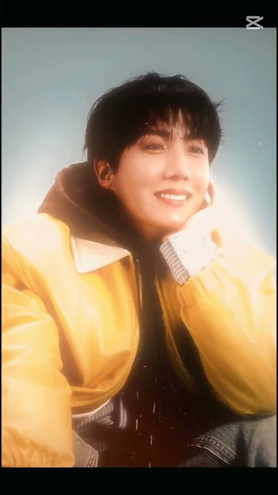 방탄소년단 팬이 찍은 순간