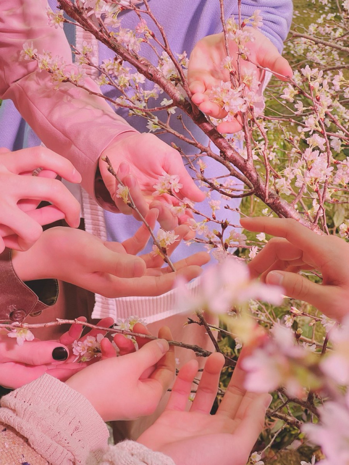 Recent activity shot of Yuma (&TEAM)