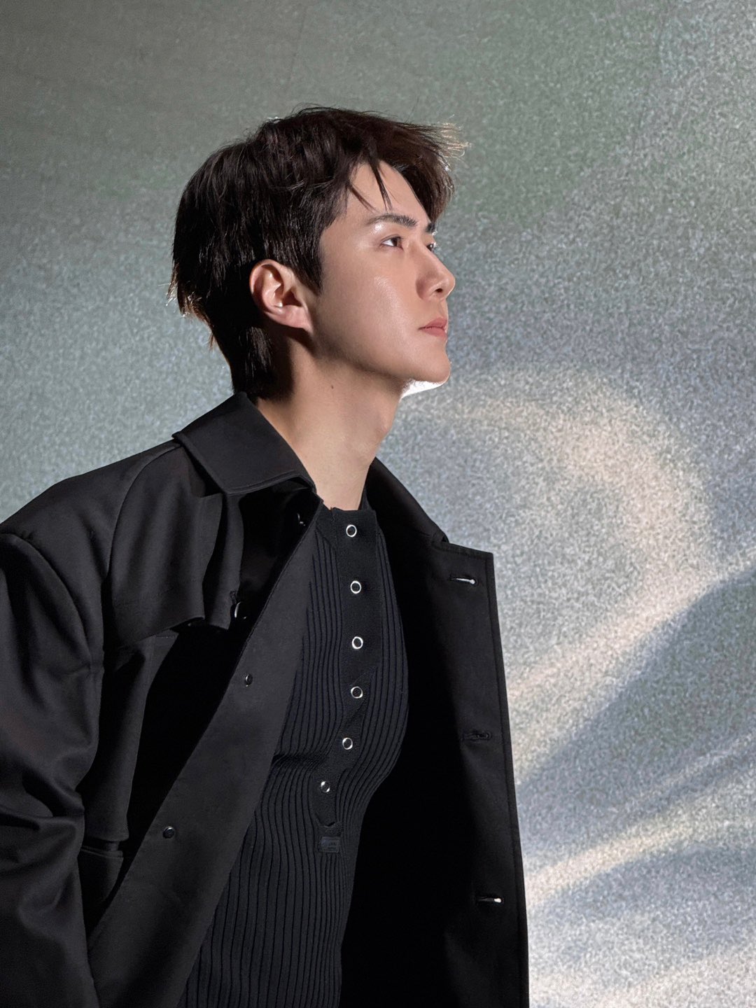 世勳 (EXO)粉絲拍下的瞬間