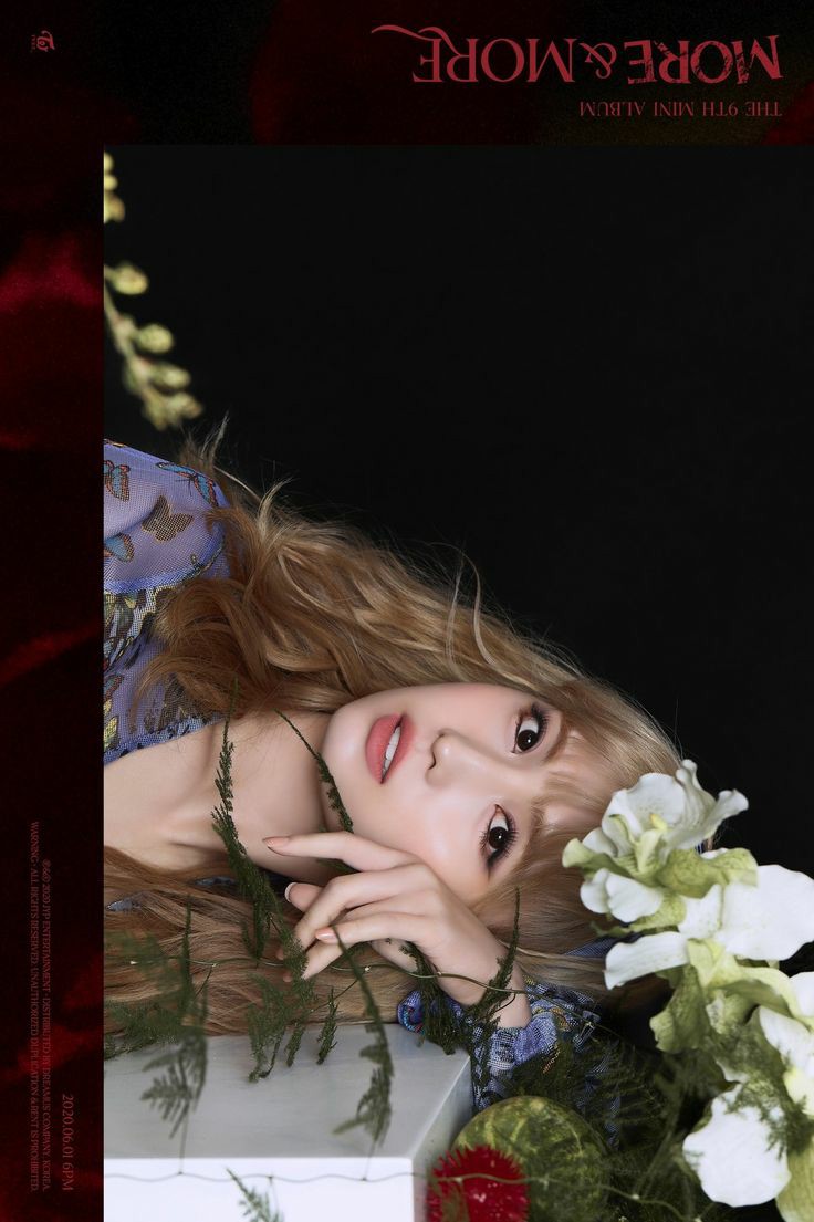 Recent activity shot of Momo (TWICE)