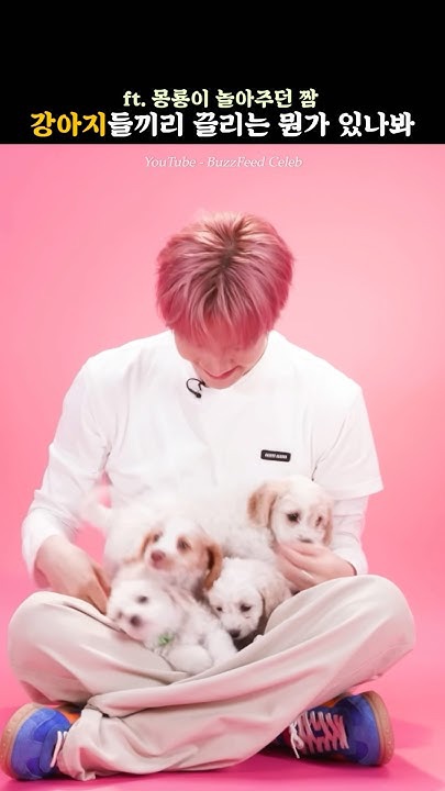 백현 (EXO)의 비하인드 컷