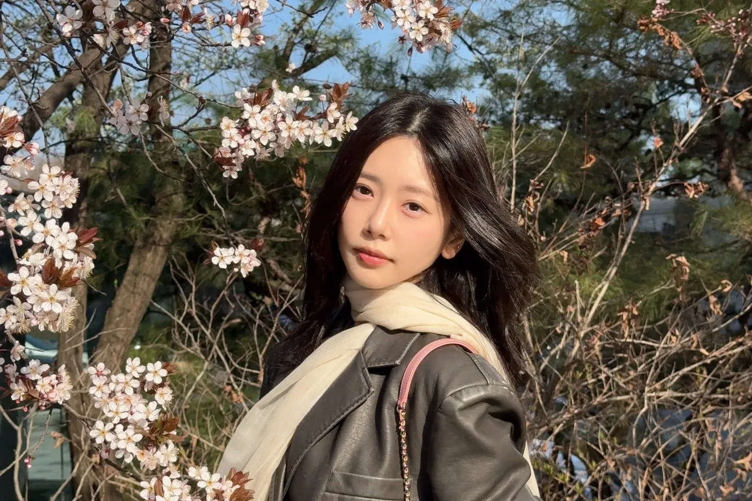 Foto aktivitas terbaru DREAMCATCHER