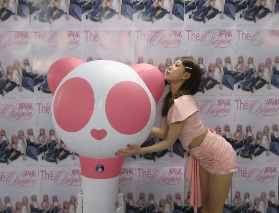 Apinkファンが撮った瞬間