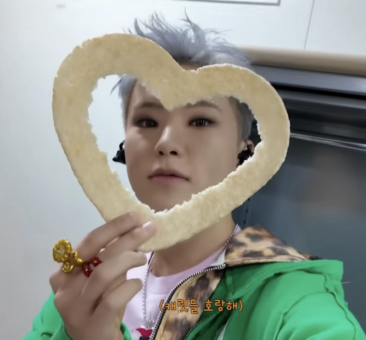 A moment captured by Hoshi (SEVENTEEN)'s fan