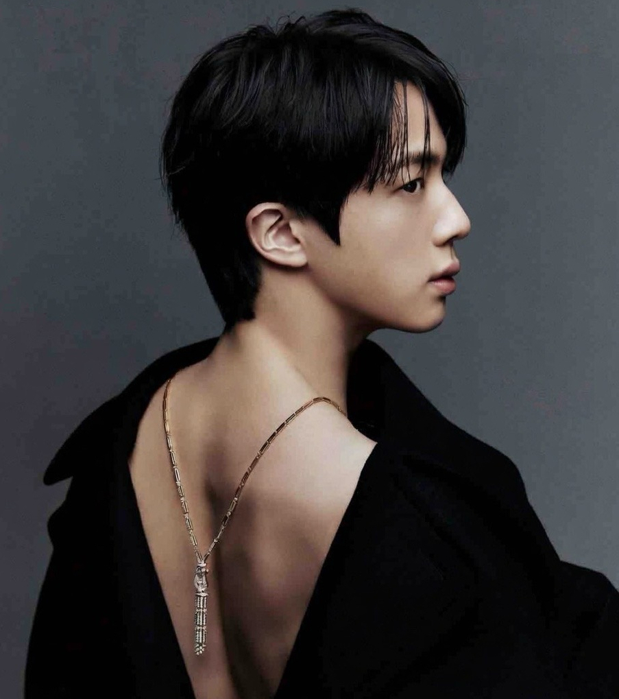 진 (방탄소년단) 최근 활동샷