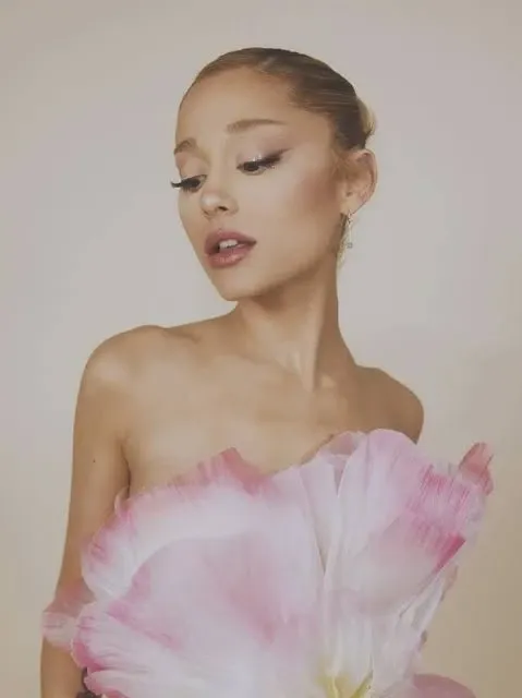 A moment captured by Ariana Grande's fan