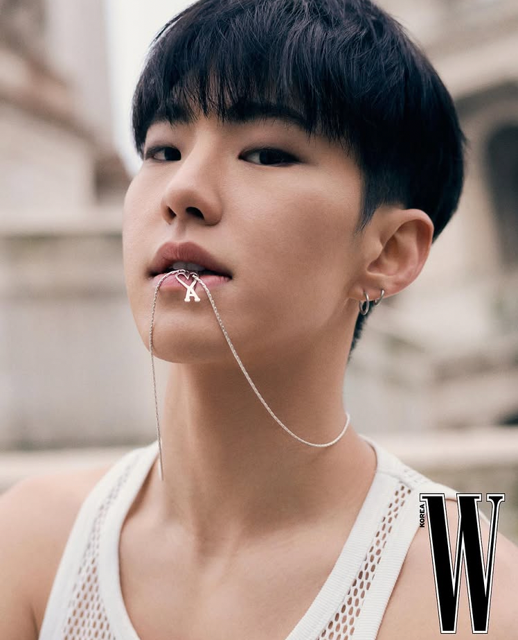 A moment captured by Hoshi (SEVENTEEN)'s fan