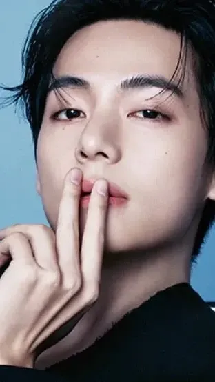 뷔 (방탄소년단) 팬이 찍은 순간