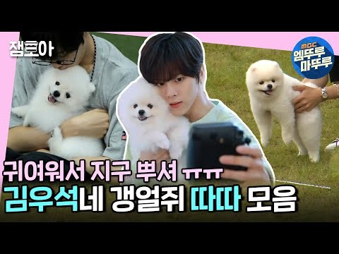 A moment captured by Kim Wooseok's fan