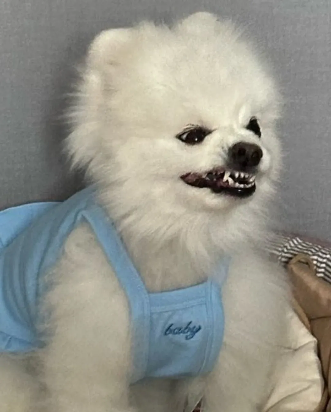 리아 (ITZY) 팬이 찍은 순간