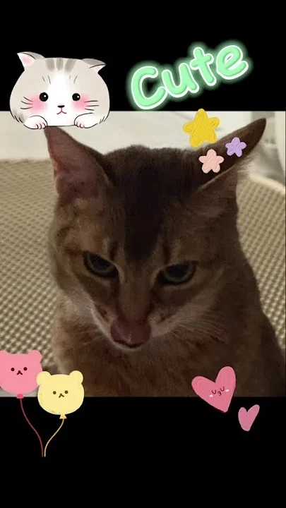 Fandom-recommended wallpaper image of Kang Daniel