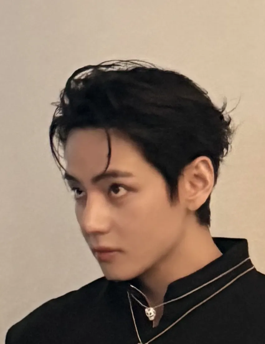 Potret di balik layar V (BTS)
