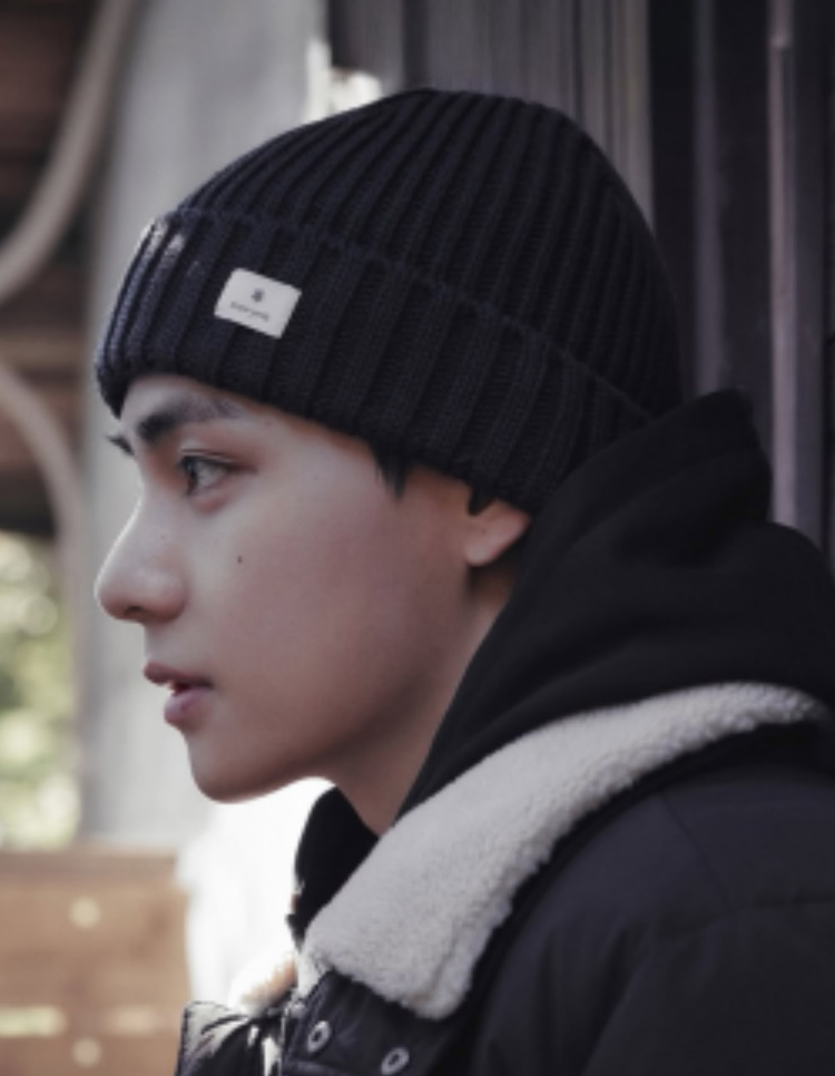 V (BTS)の舞台裏ショット