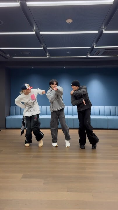 Stray Kids 팬이 찍은 순간