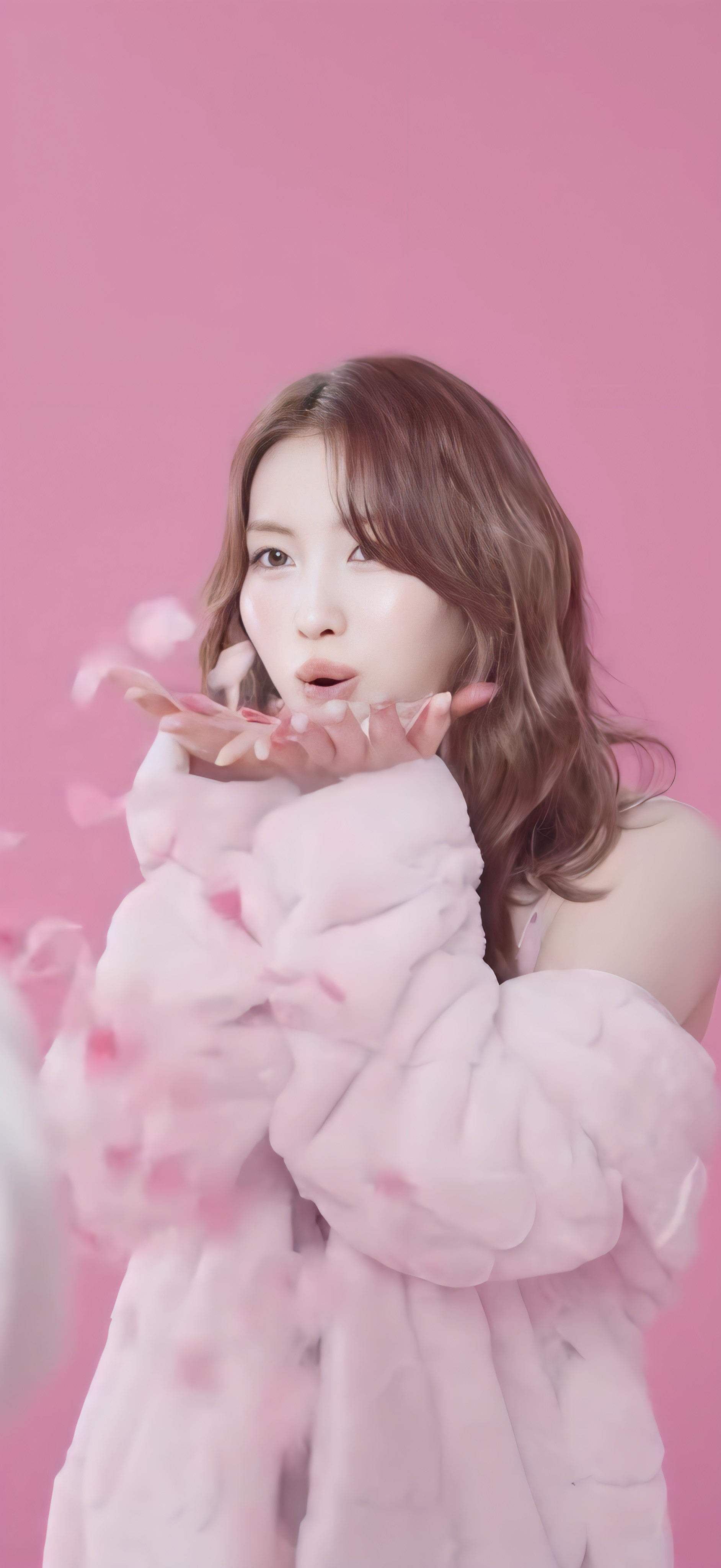 모모 (TWICE)의 최신 사진