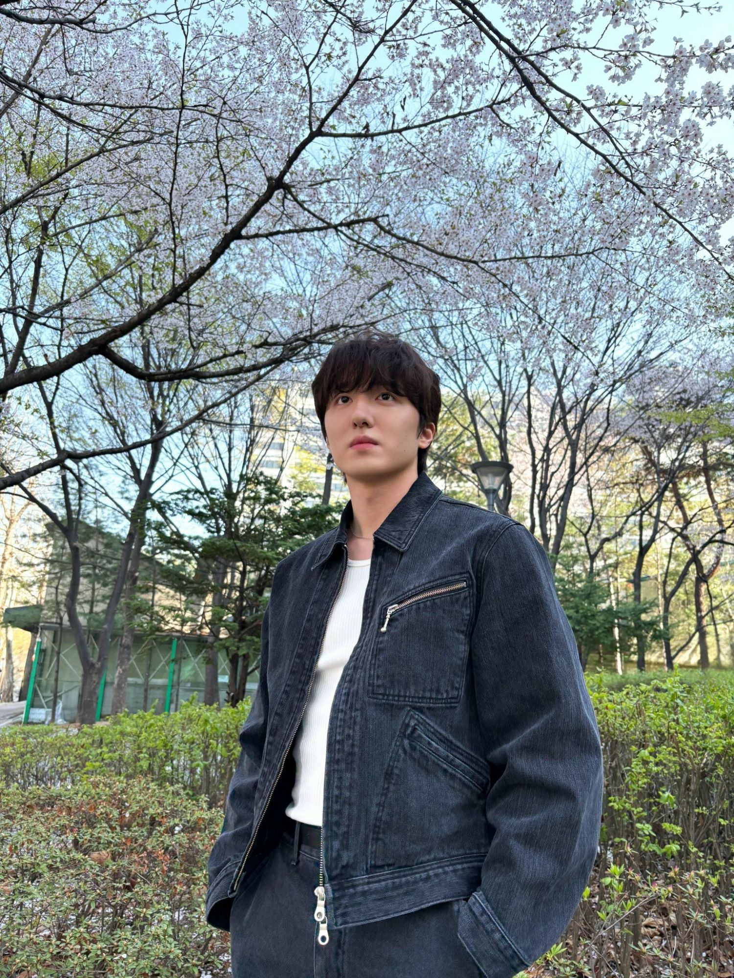 Recent activity shot of Chani (SF9)