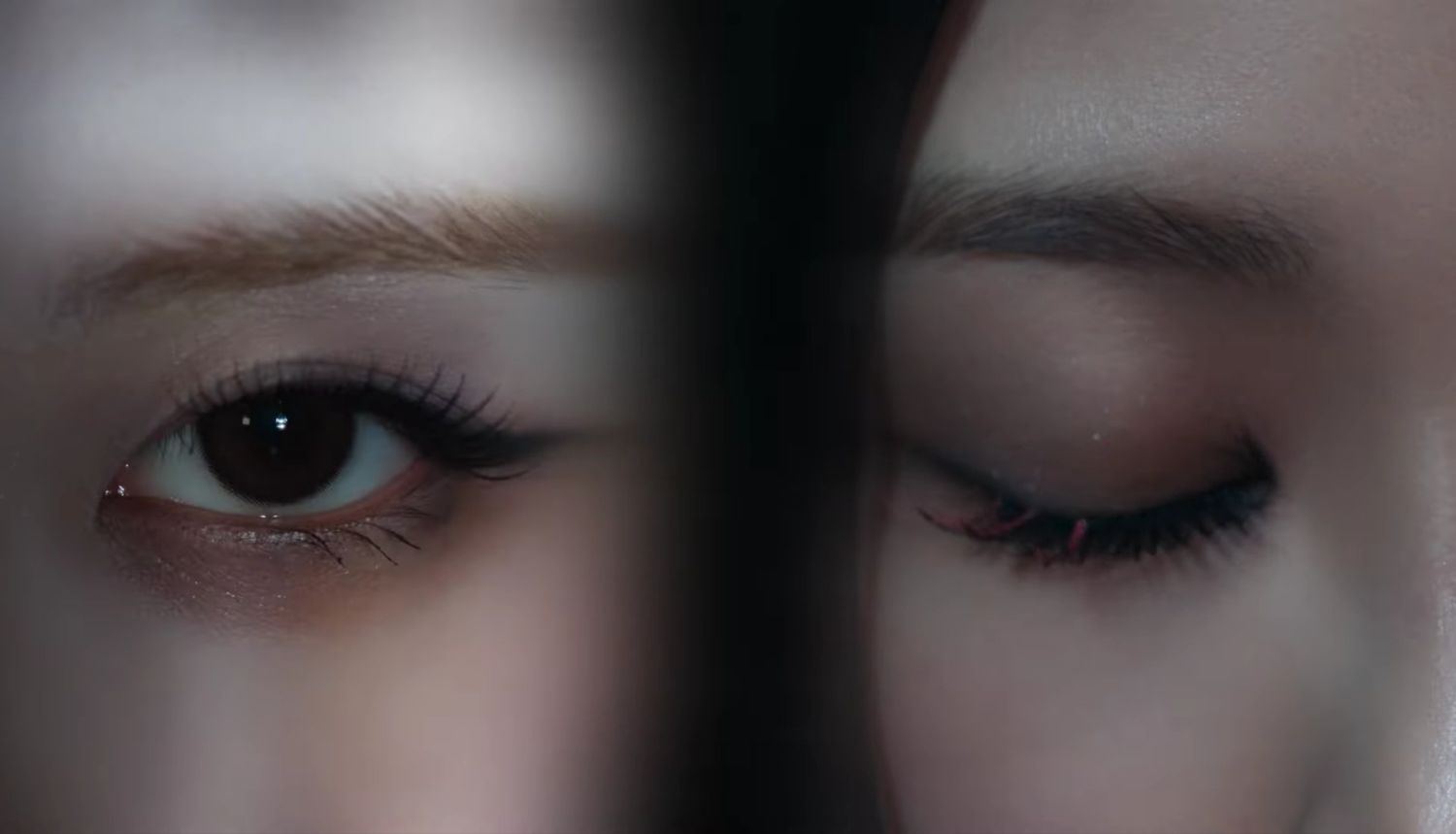 BLACKPINK的最新照片