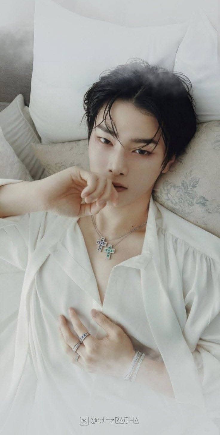 A moment captured by I.N (Stray Kids)'s fan