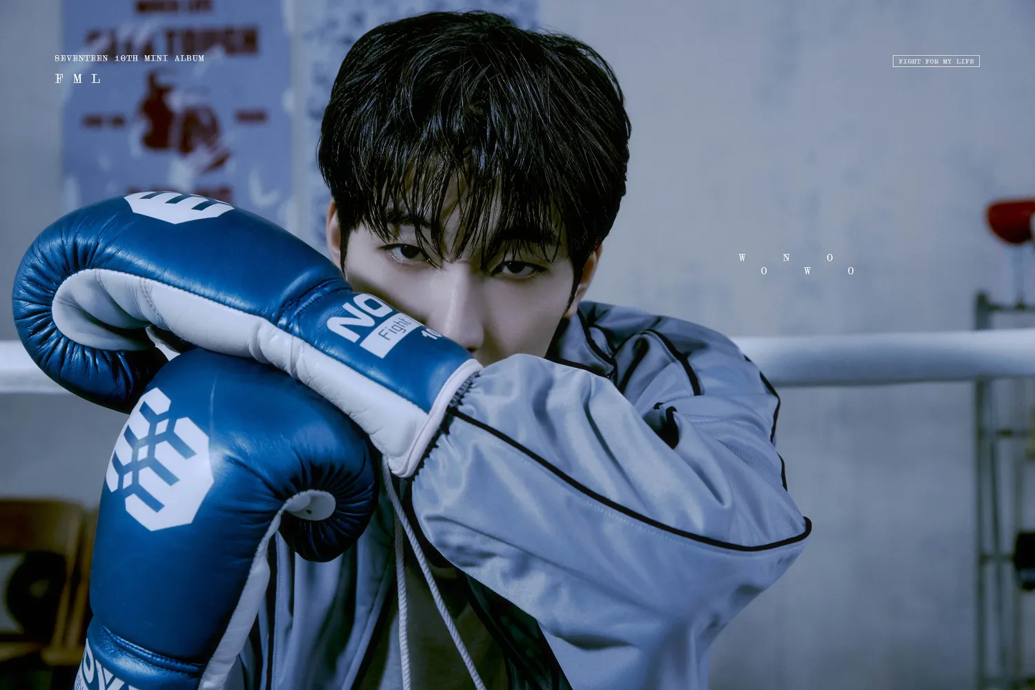 Recent activity shot of Wonwoo (SEVENTEEN)