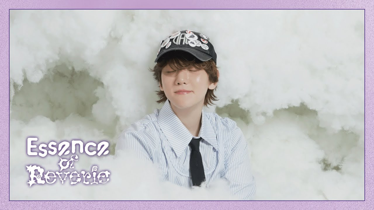 伯賢 (EXO)粉絲拍下的瞬間