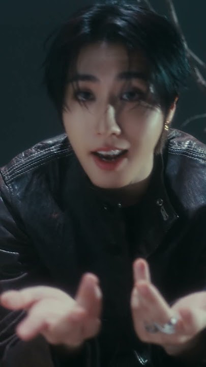 The most beloved wallpaper among HAN (Stray Kids)'s fans