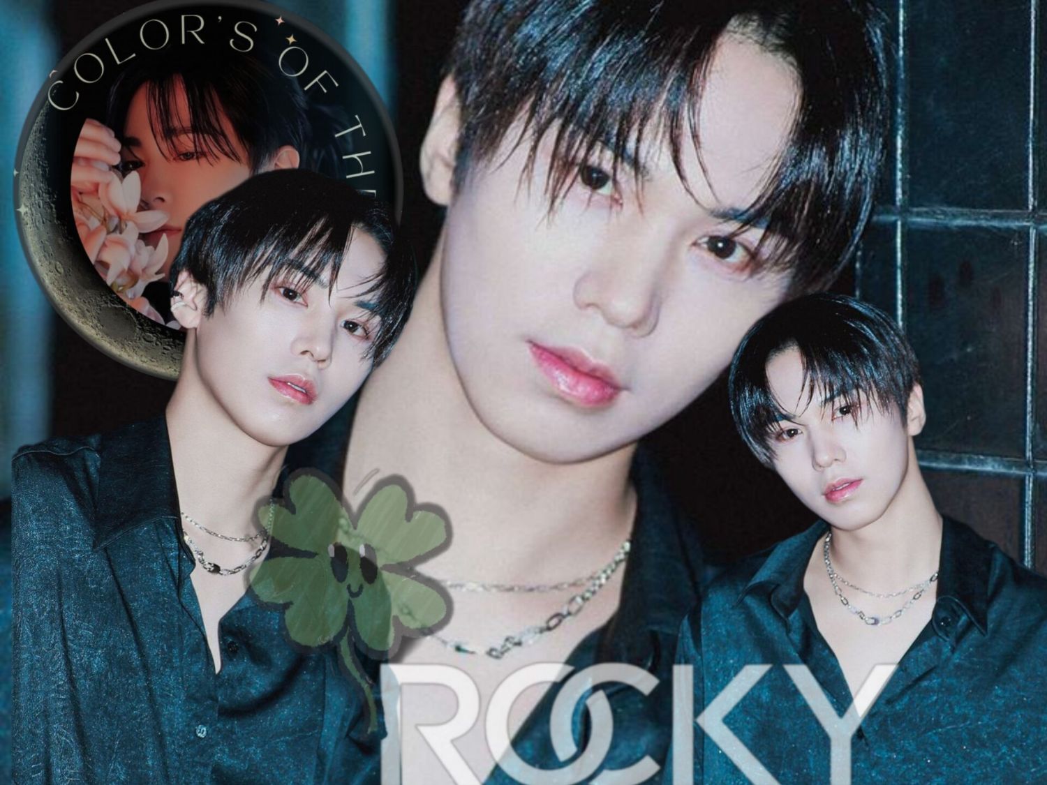 Recent activity shot of Rocky