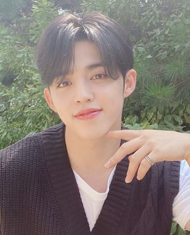 Recent activity shot of S.Coups (SEVENTEEN)