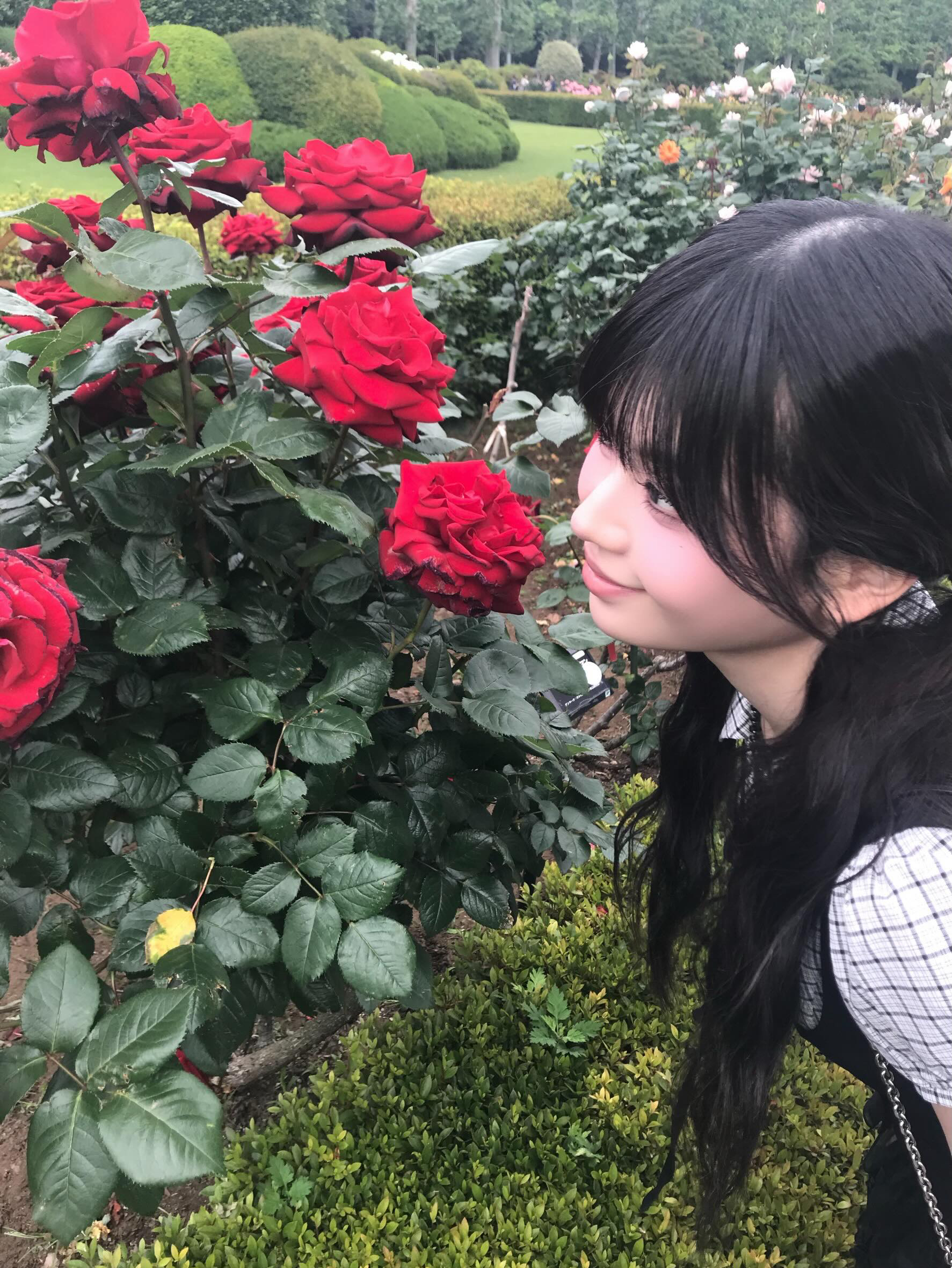 Recent activity shot of Murakami Rinon (ME:I)