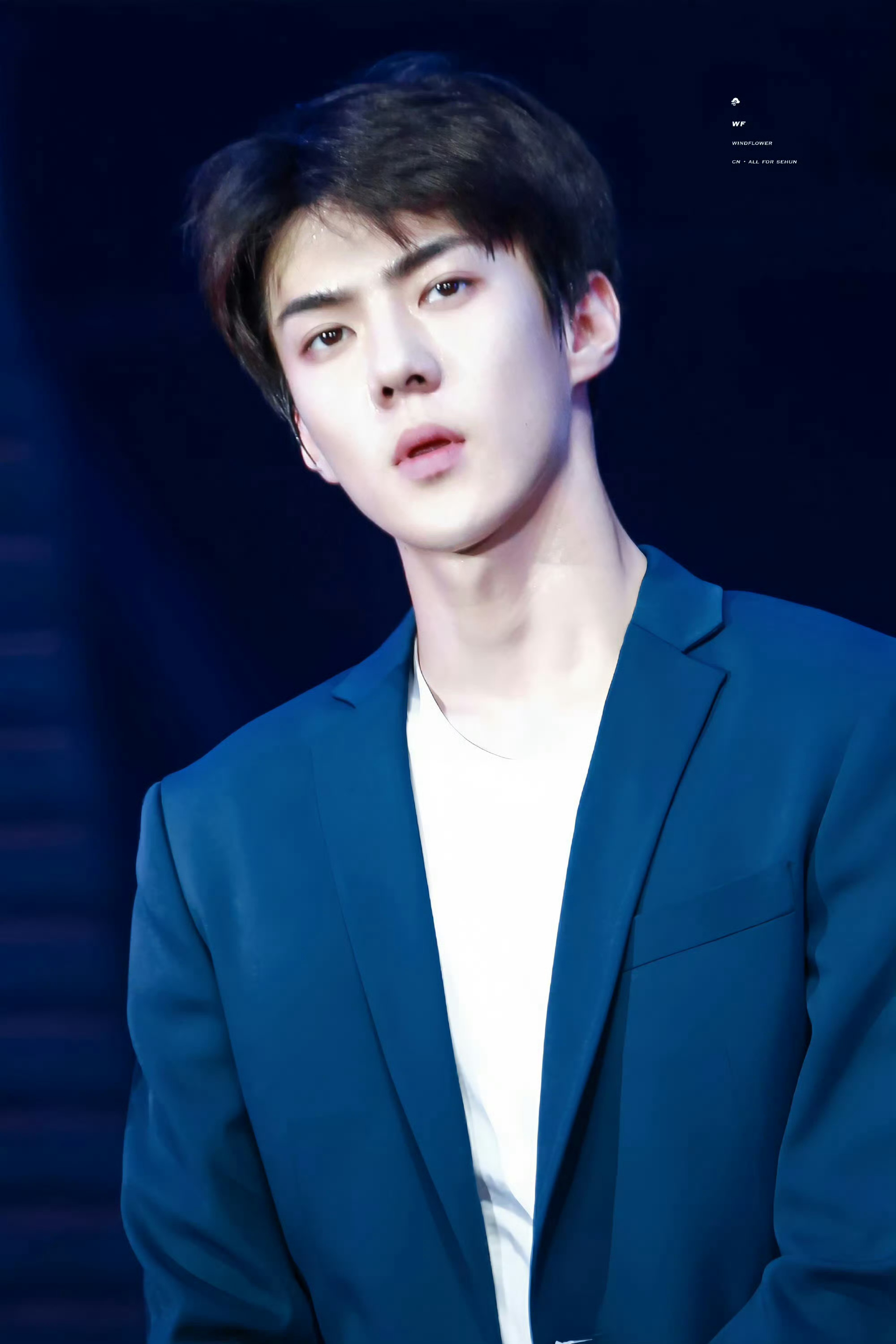 세훈 (EXO) 팬이 찍은 순간