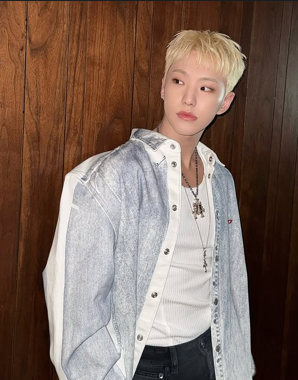 호시 (세븐틴) 팬이 찍은 순간