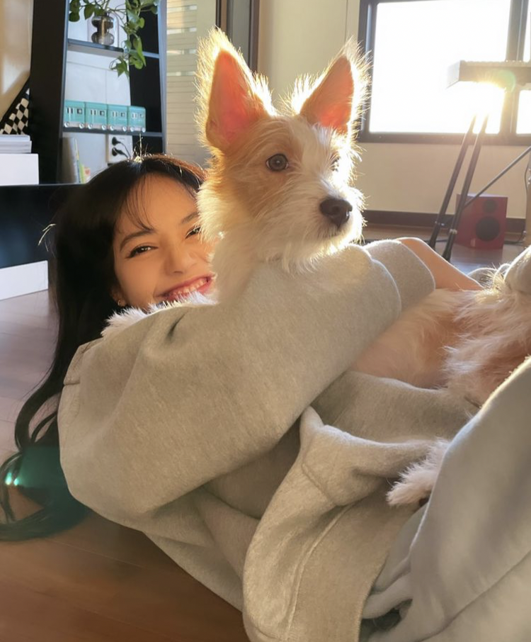 BLACKPINK 최근 활동샷