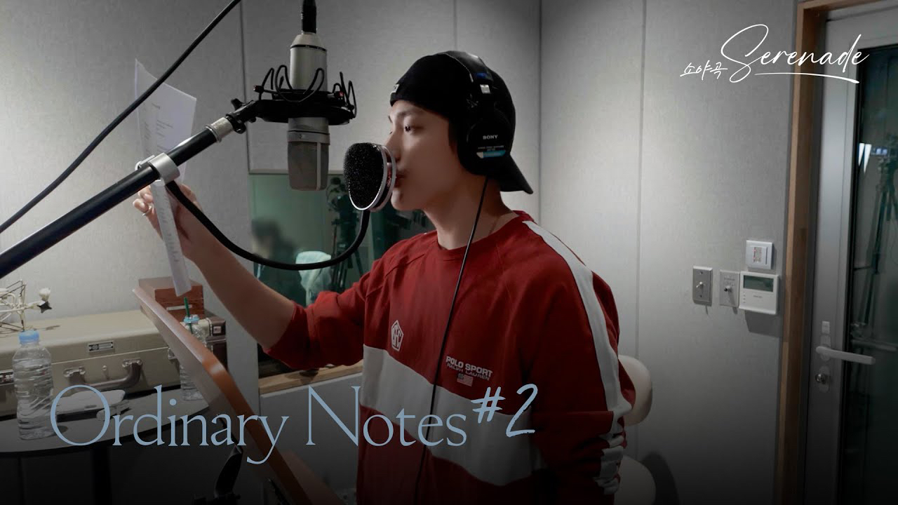 SEVENTEEN粉絲拍下的瞬間