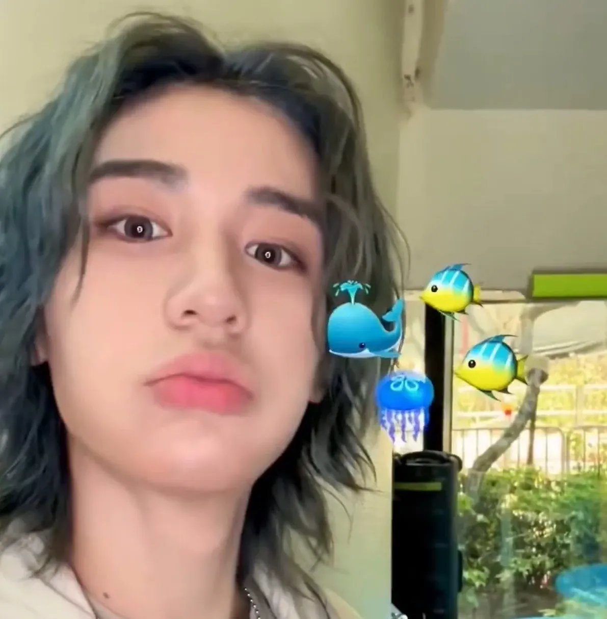Leehan (BOYNEXTDOOR)粉絲拍下的瞬間