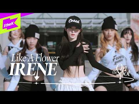 アイリーン (Red Velvet)ファンが撮った瞬間